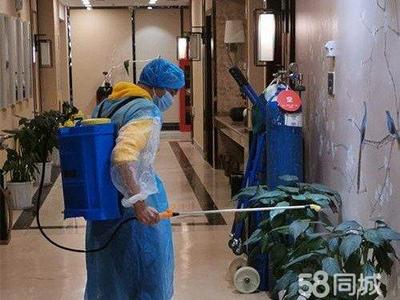 专业保洁服务 从美缝除醛到衣橱整理，全方位守护家居健康